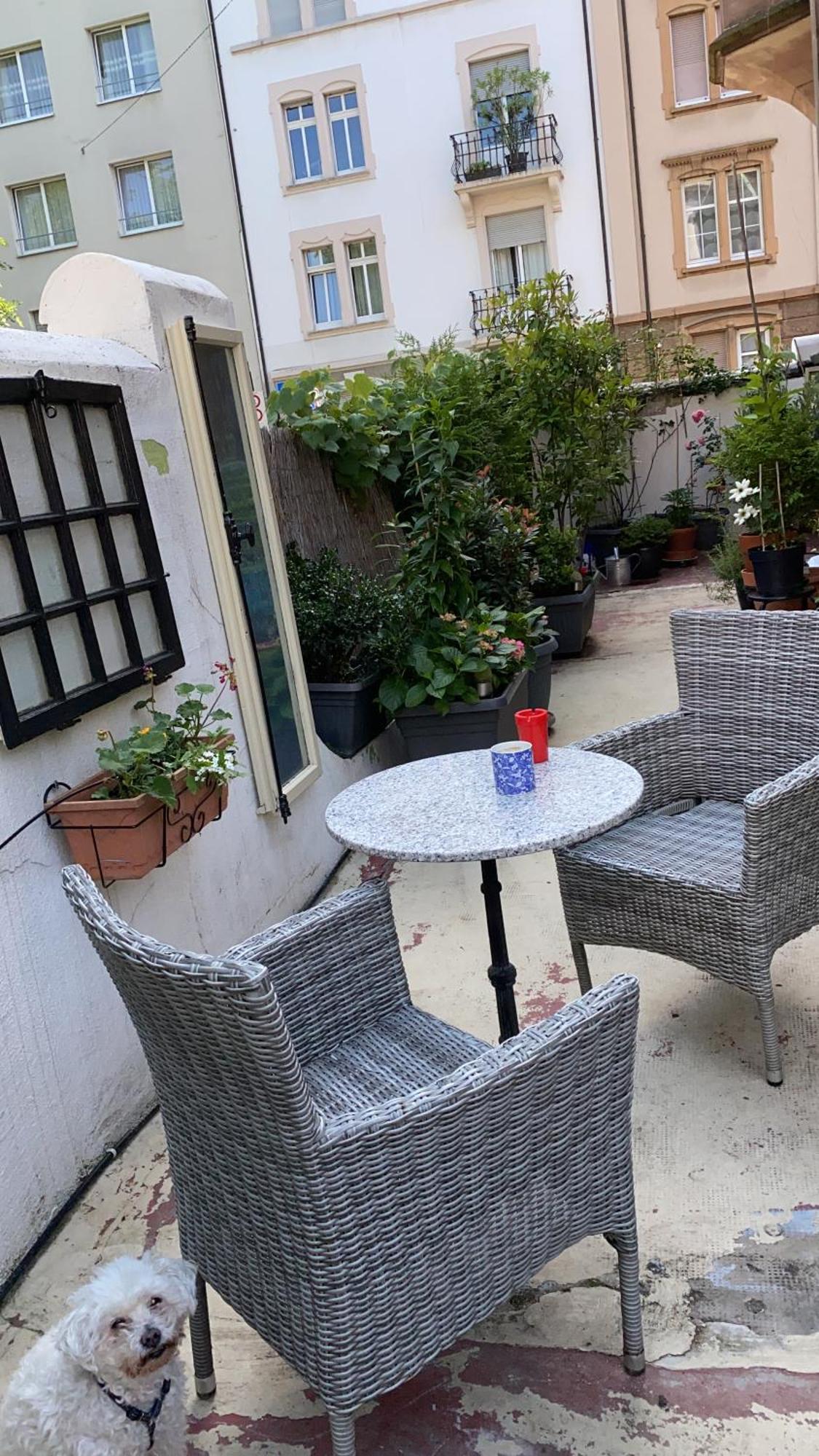 Georgian Guest Rooms Basel Ngoại thất bức ảnh