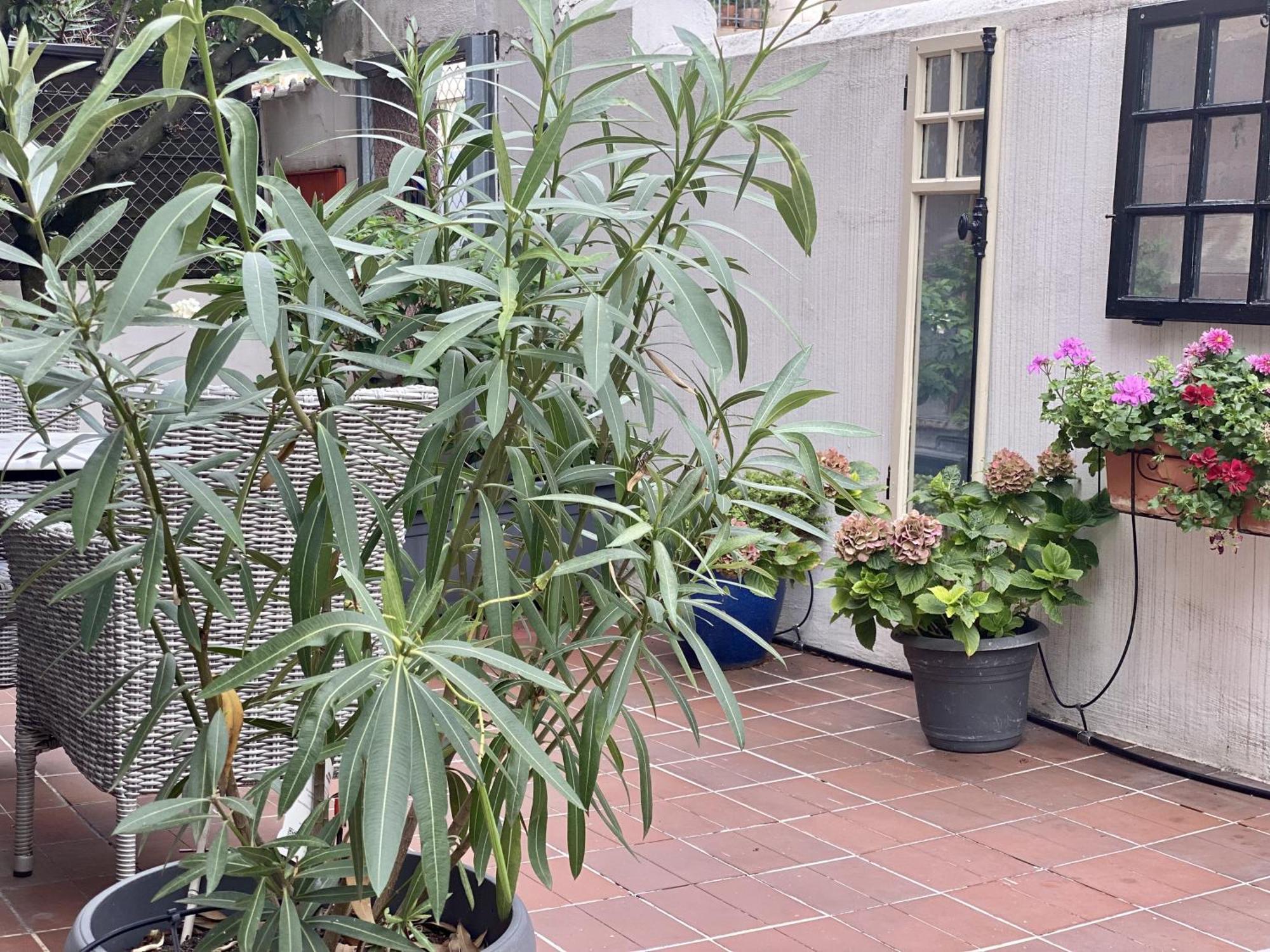 Georgian Guest Rooms Basel Ngoại thất bức ảnh